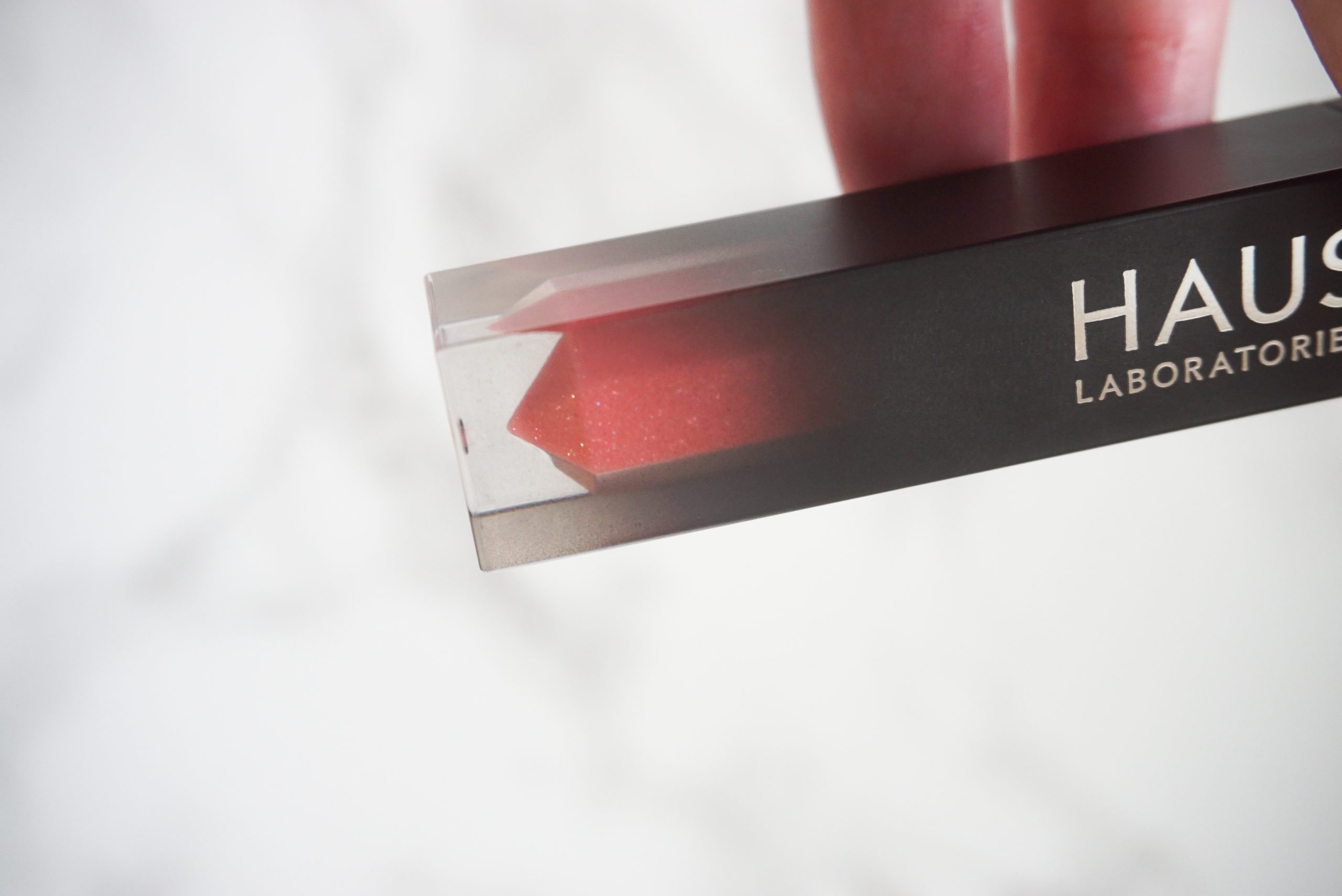 True Love or Bad Romance? Haus Laboratories Le Monster & Le Riot Lip Products Review