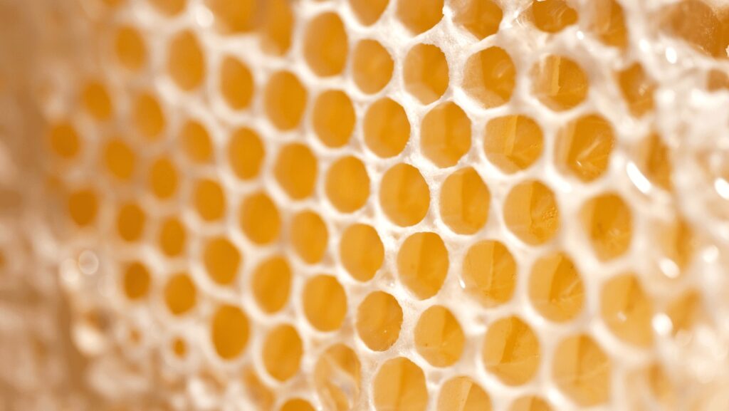 Benefits Of Beeswax For The Skin