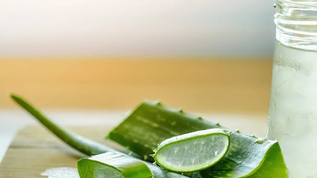 Benefits Of Aloe Vera For The Skin, What Does Aloe Vera Do For The Skin