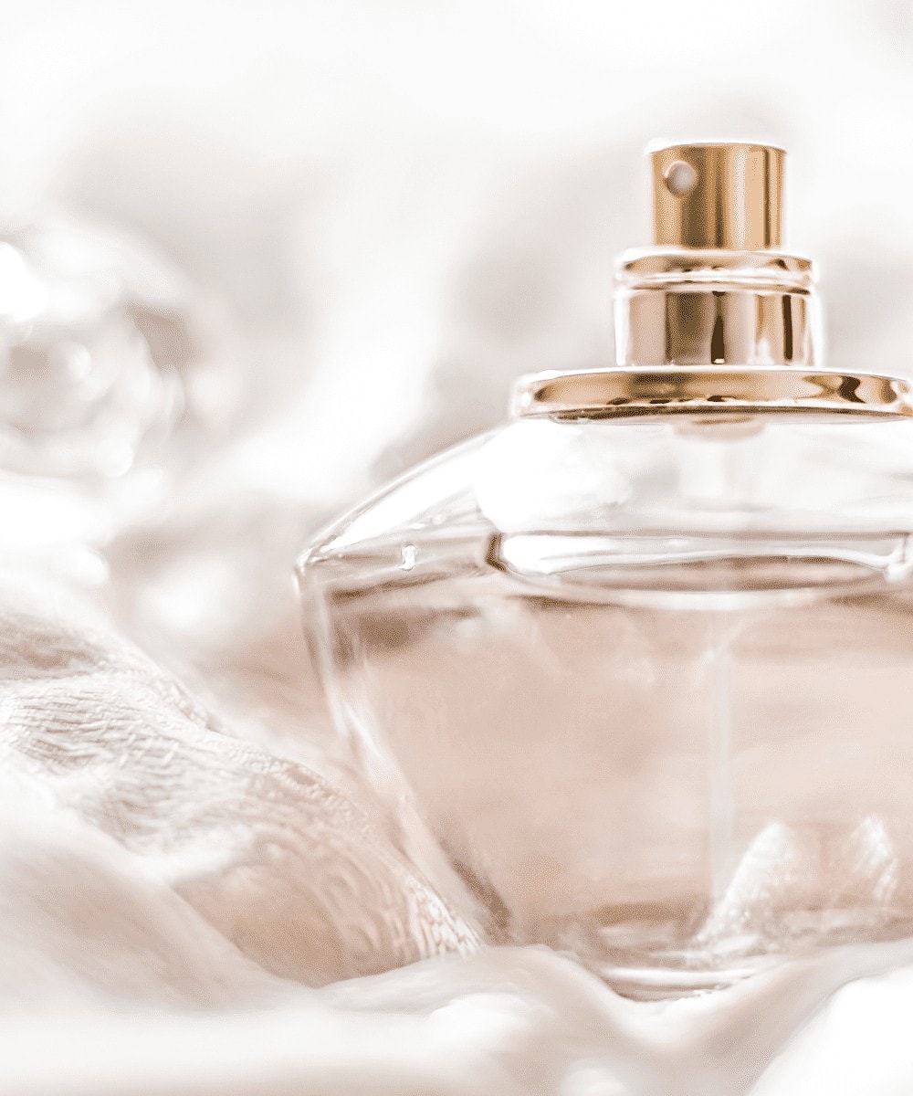 What Does Gardenia Smell Like? Try This Fragrance Scent Now