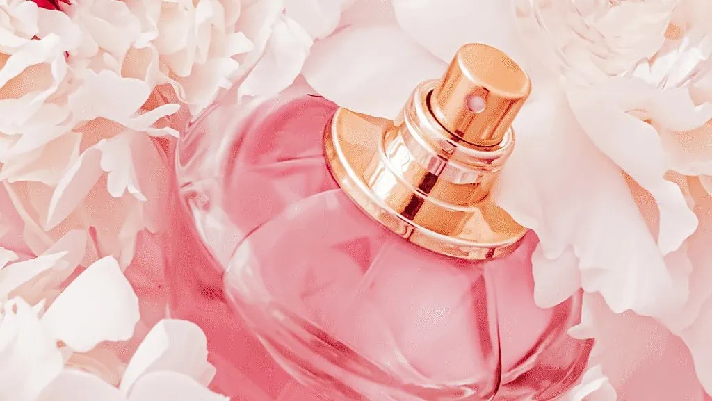 Fragrance - Beautymone
