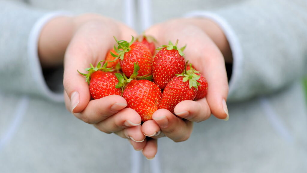 Strawberry Skin Benefits, Benefits Of Strawberry Seed Oil, Benefits Of Strawberry Seed Oil For The Skin