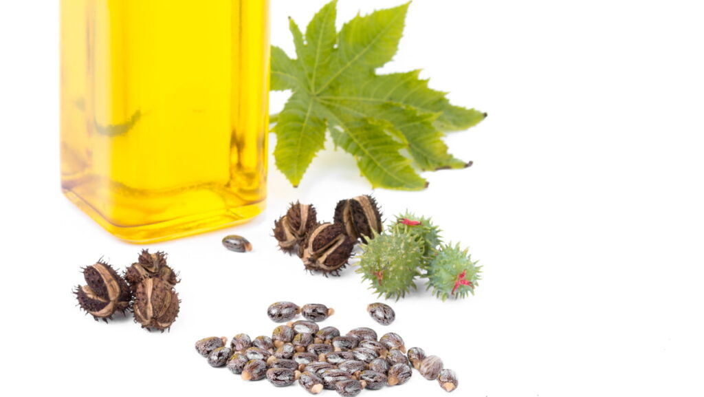 Benefits Of Castor Oil For The Skin