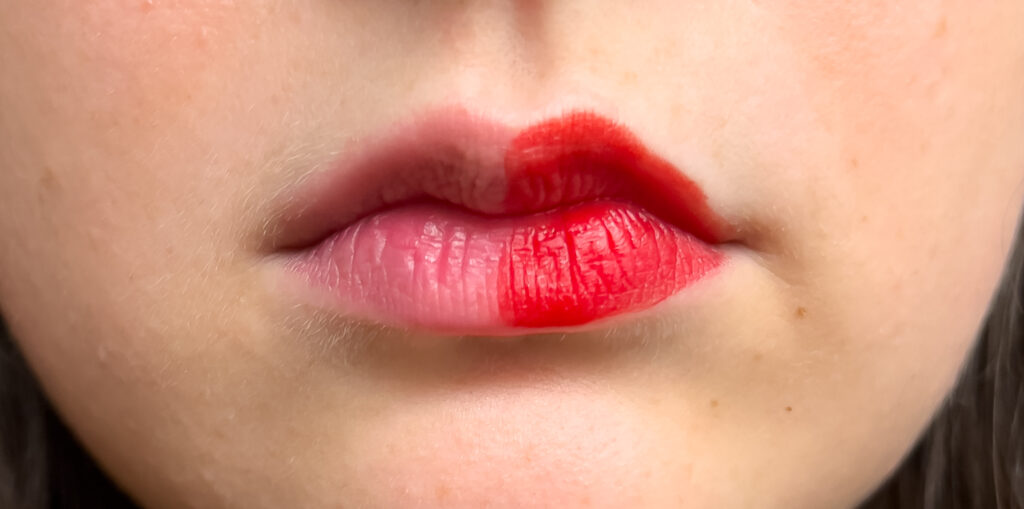 Benefit Benetint Vs Macqueen Lip Stain On Lips